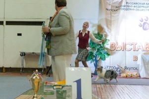 Смайл Энджел Женева -БИС общепородной выставки собак! 